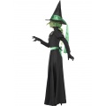 Kostým Čarodějnice - zelená