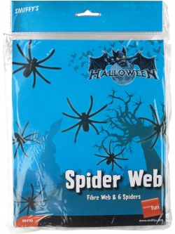 Velká pavučina s 6 pavoučky