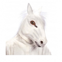 Hlava Bílého koně