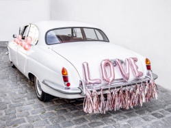 Svatební sada na auto - Love II